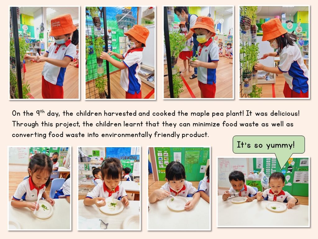 From Food Waste to Gold — photo 5