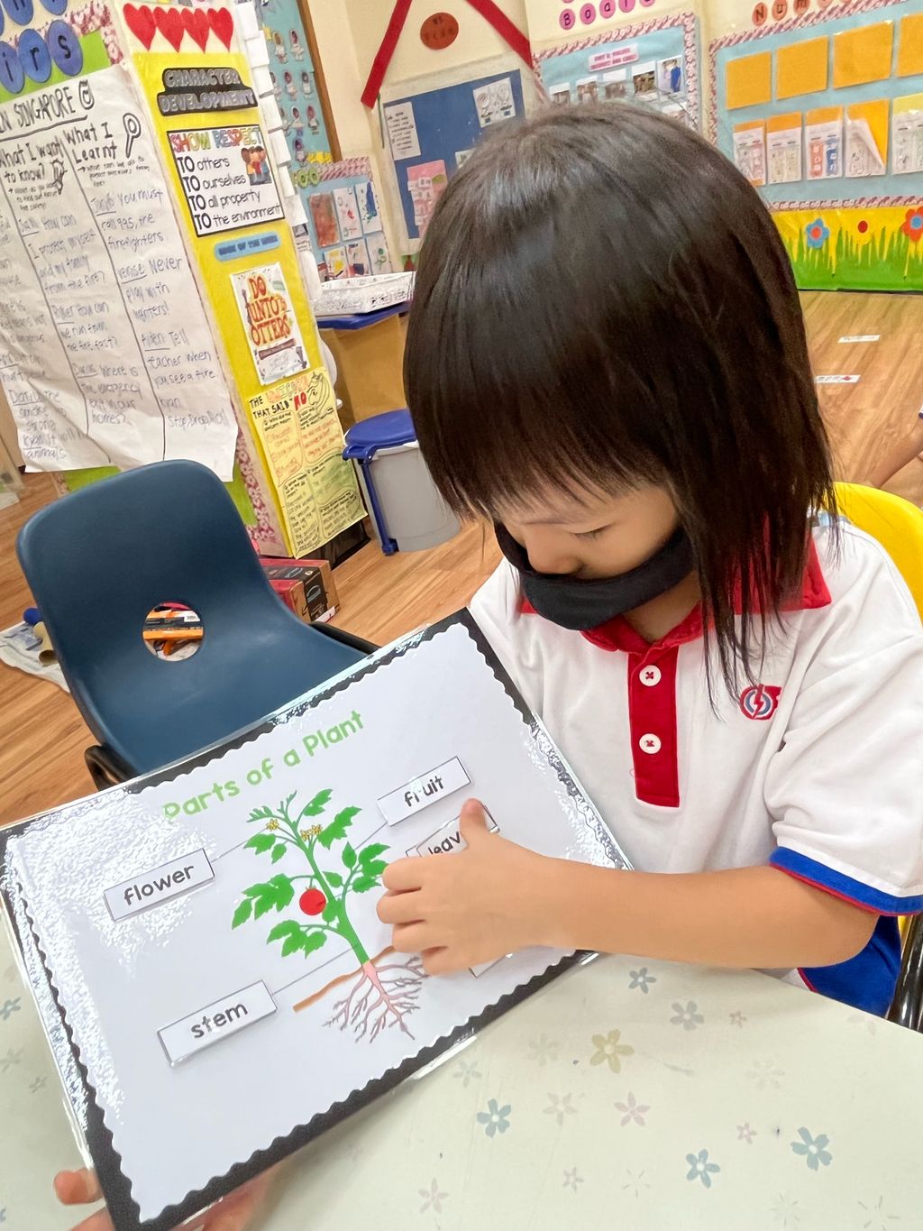 Caring For Our Community - Environment