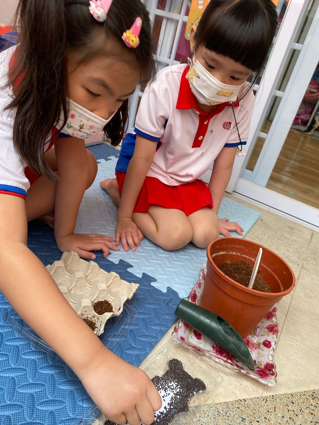 Caring For Our Community - Environment — photo 2