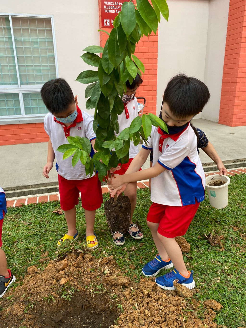 Caring For Our Community - Environment — photo 1