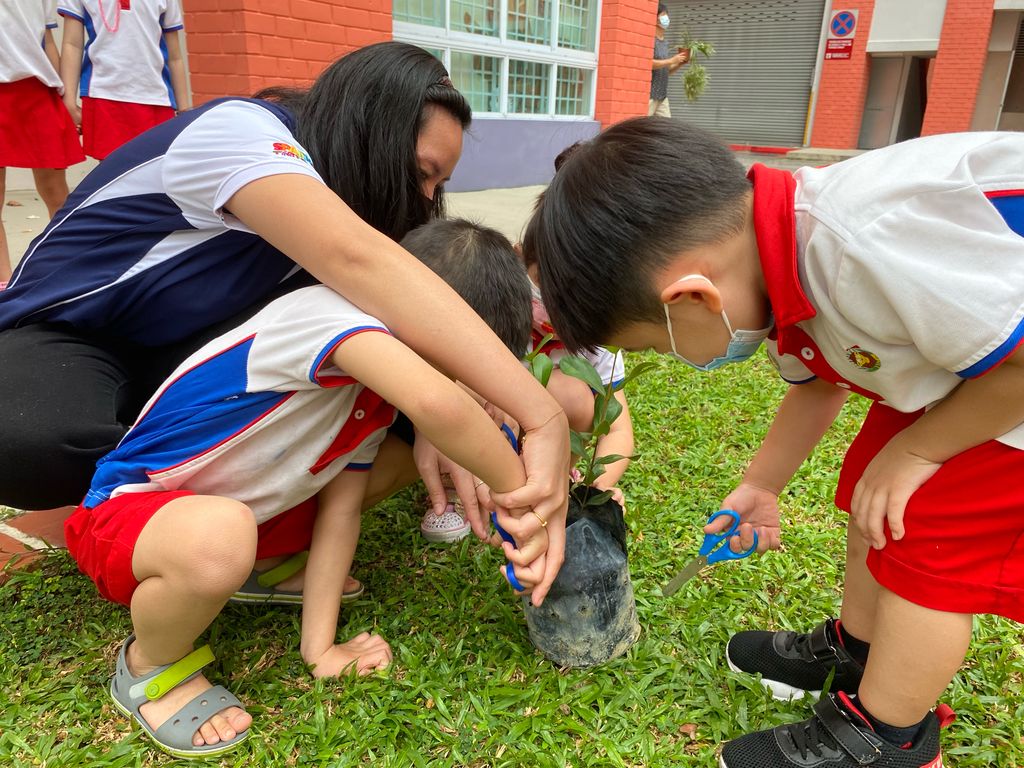 Caring For Our Community - Environment — photo 2