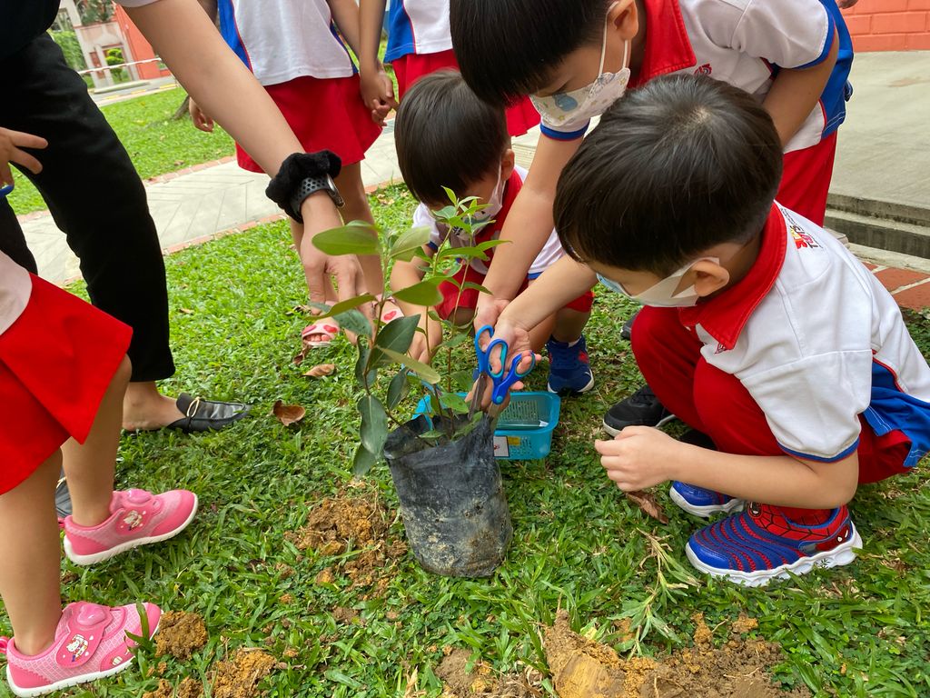 Caring For Our Community - Environment — photo 3