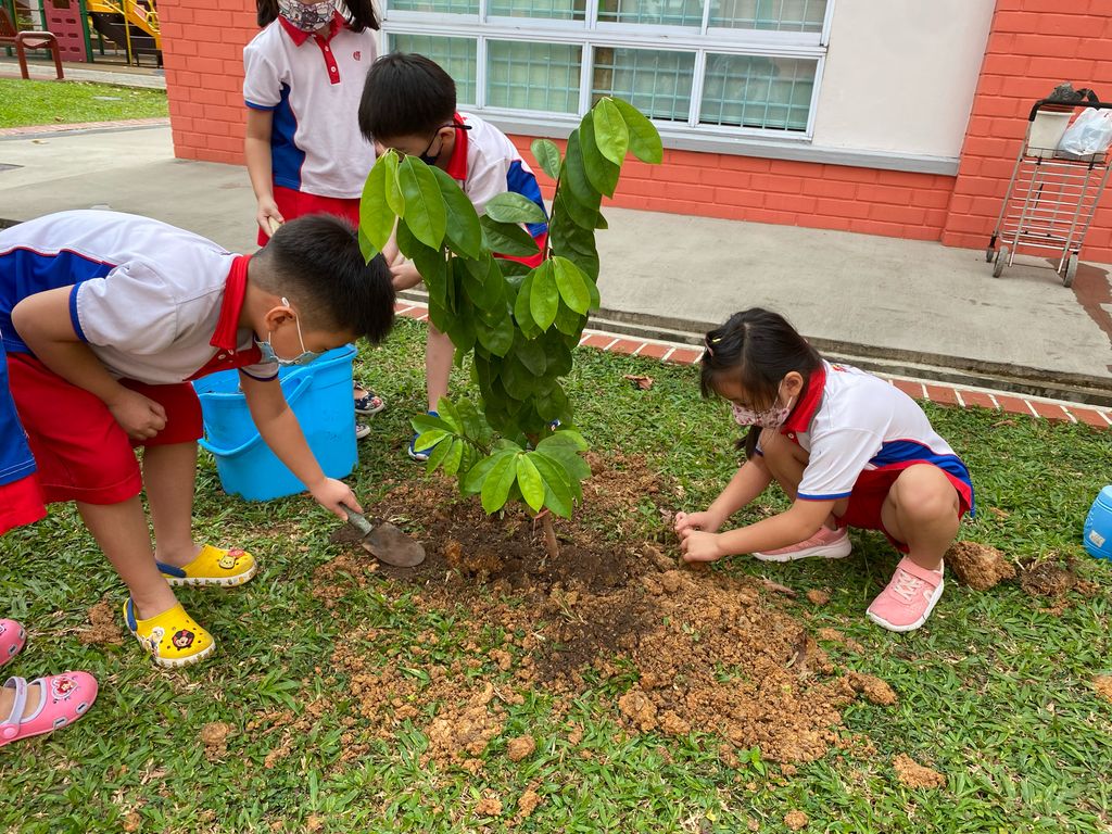 Caring For Our Community - Environment — photo 4