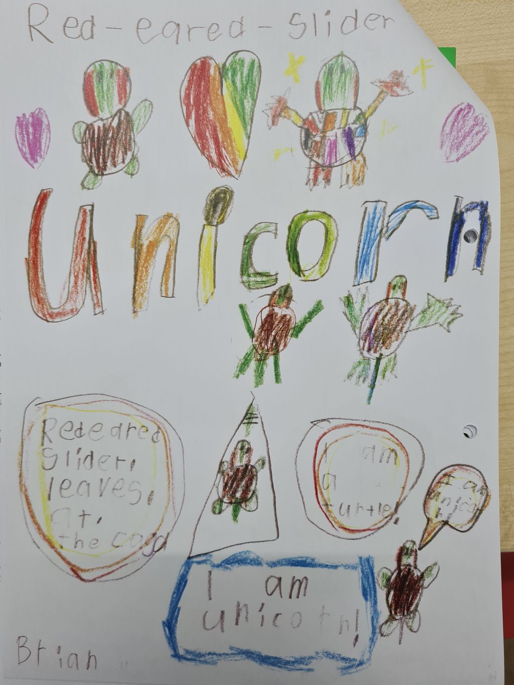 Learning about our Pets — photo 13