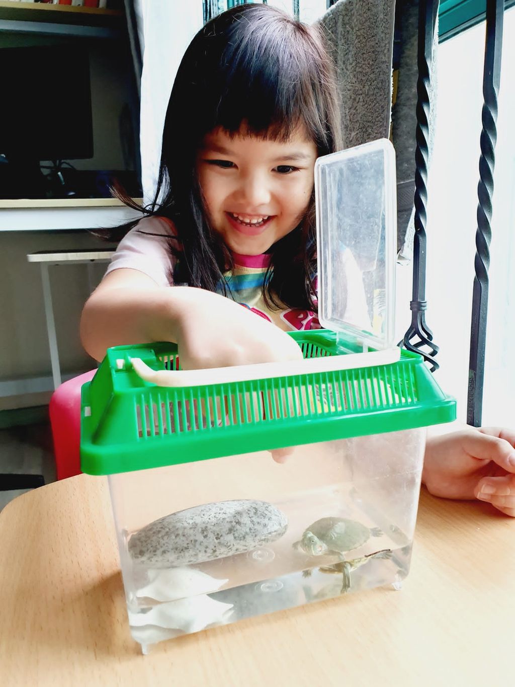 Pet Ownership and Learning with our Families — photo 7