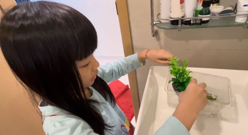 Pet Ownership and Learning with our Families — photo 10