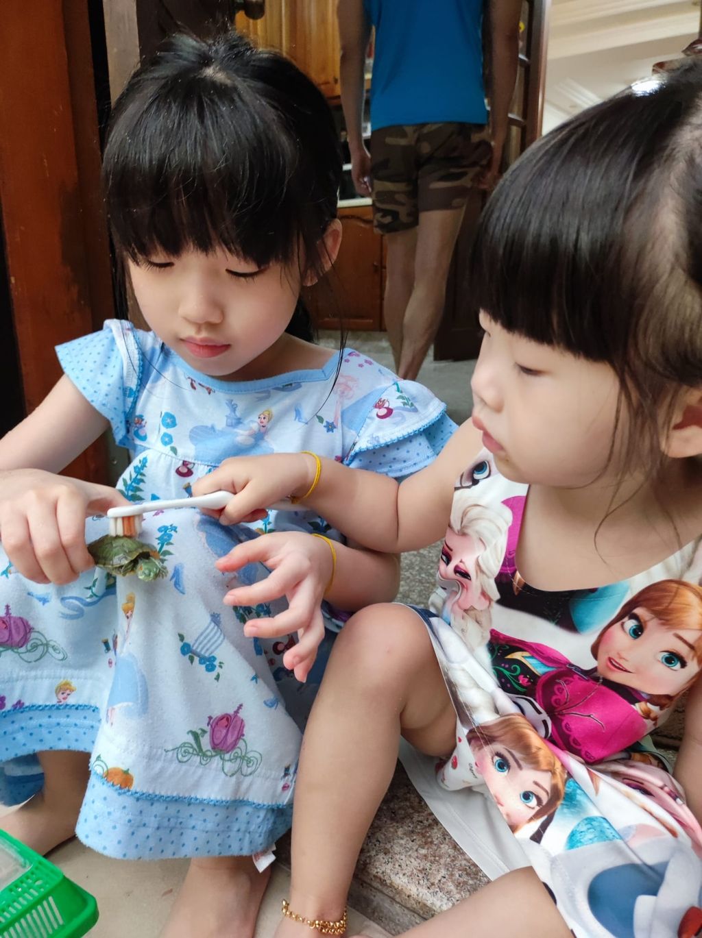 Pet Ownership and Learning with our Families — photo 3