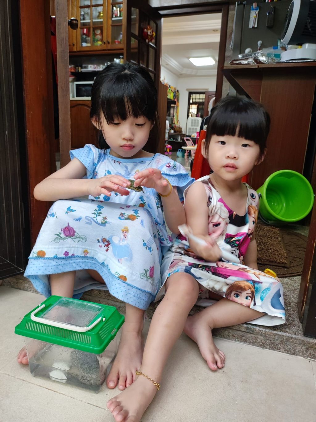 Pet Ownership and Learning with our Families — photo 4