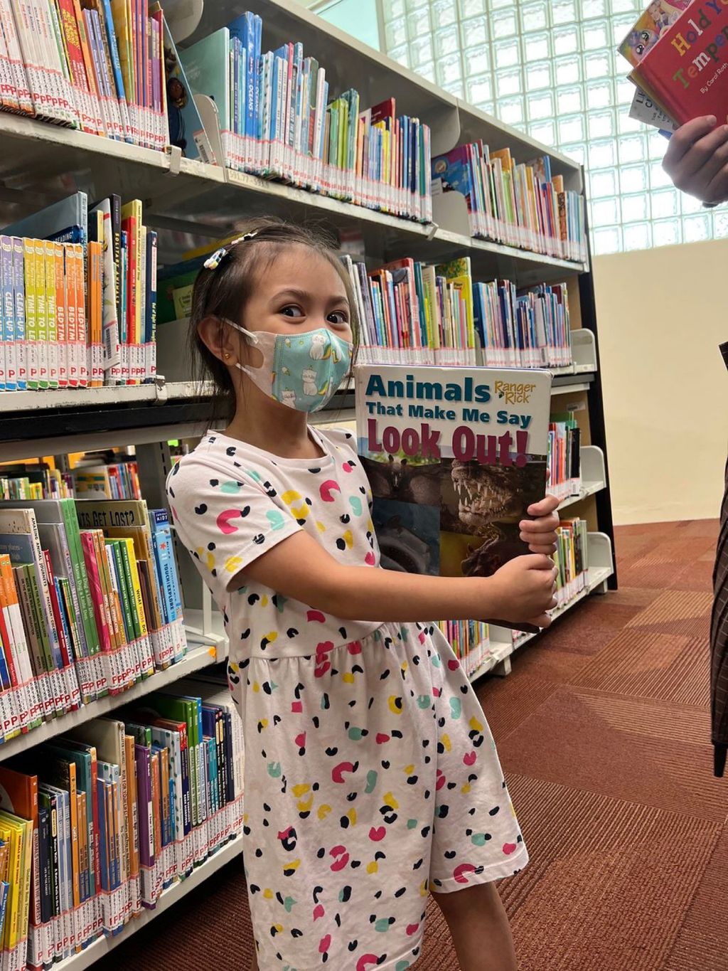 Caring for our Public Libraries — photo 3