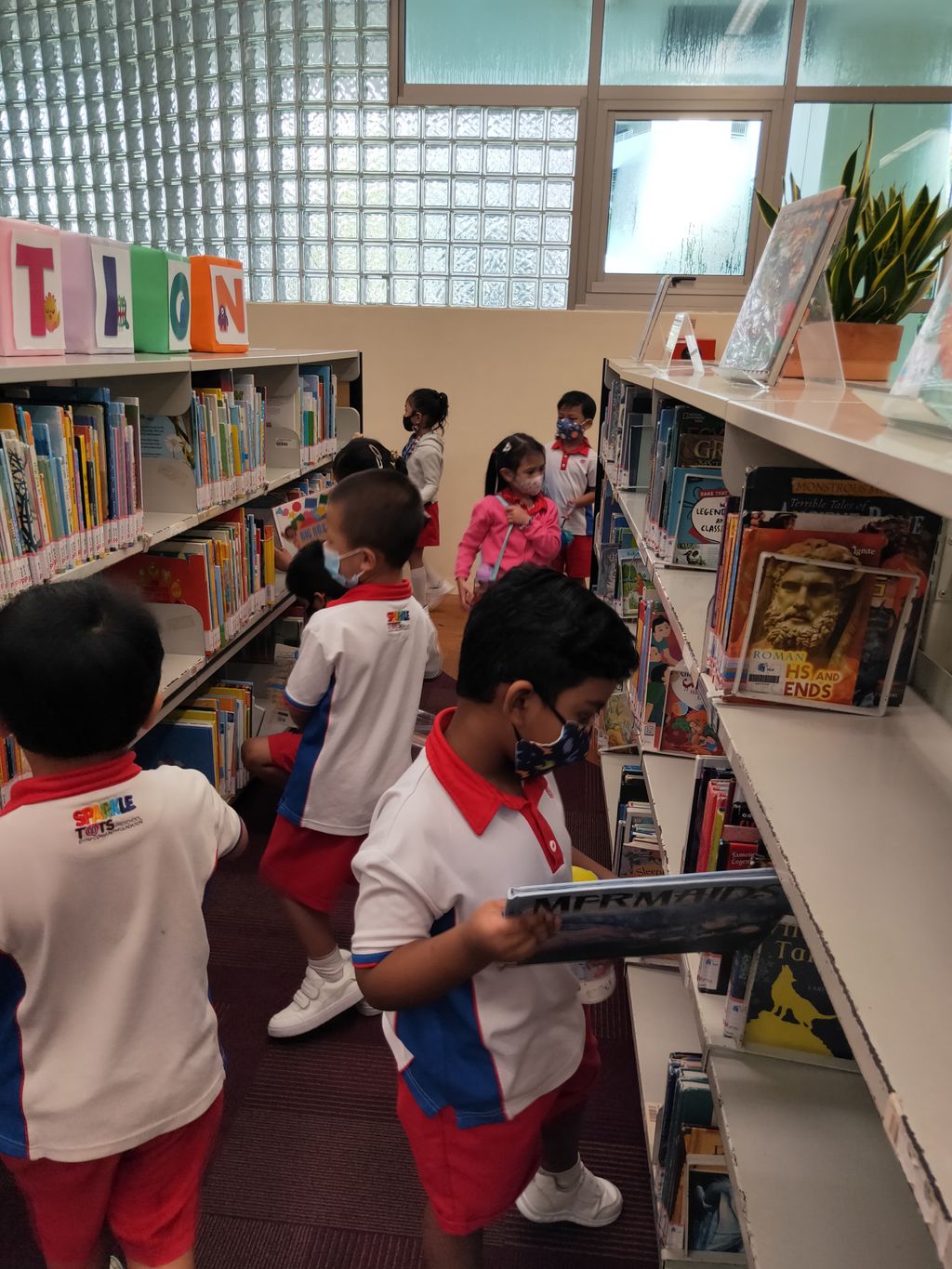 Caring for our Public Libraries — photo 2