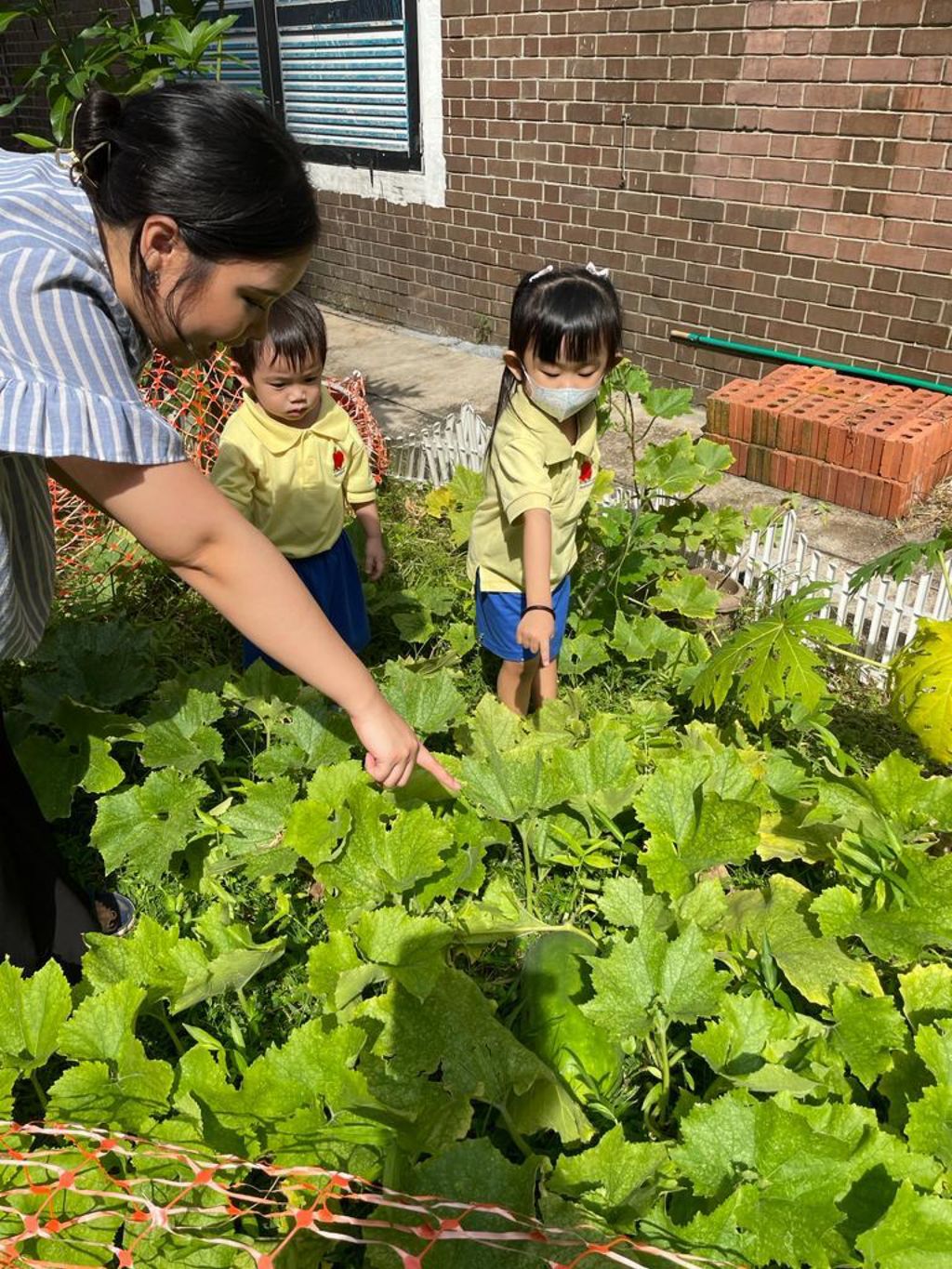 Our Community In Bloom — photo 5