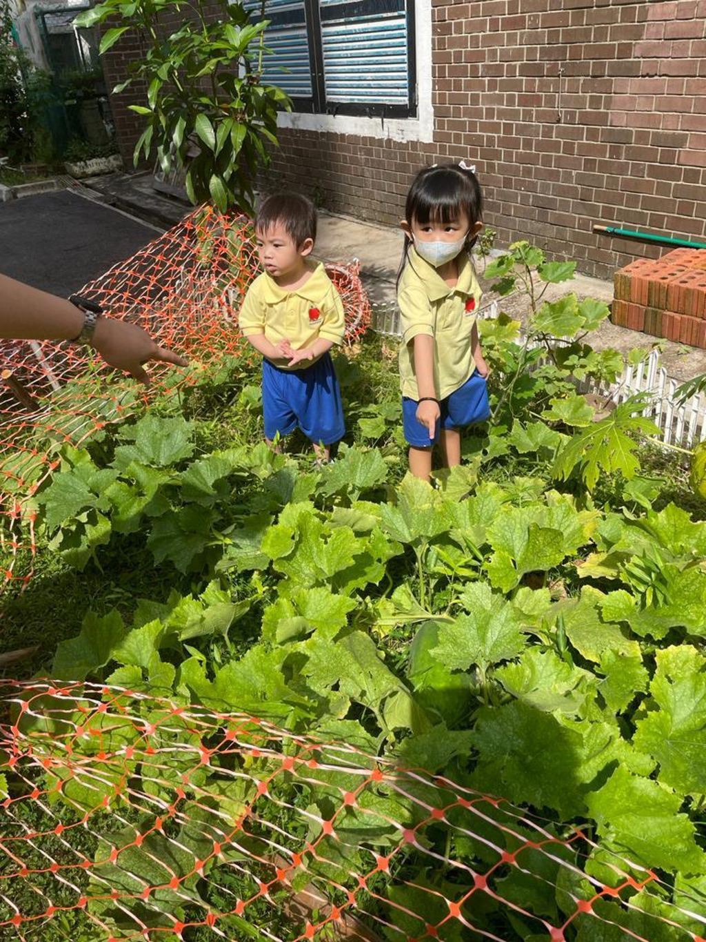 Our Community In Bloom — photo 6