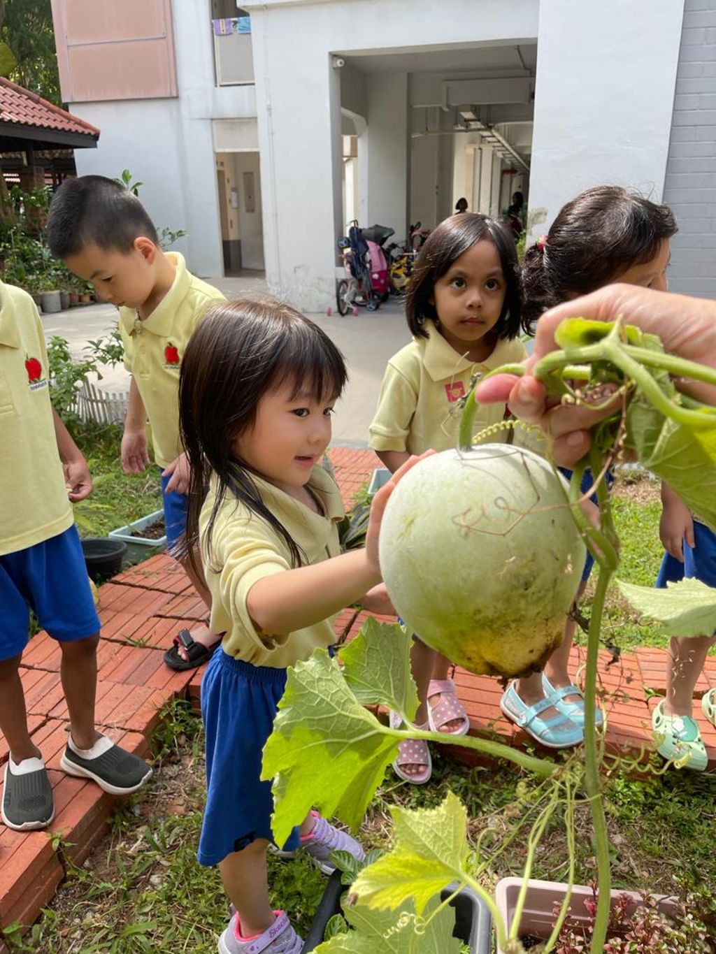 Our Community In Bloom — photo 1