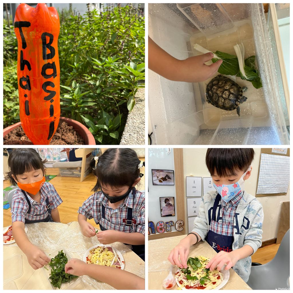 How Gardening helps our Kindergarten 1 children — photo 1