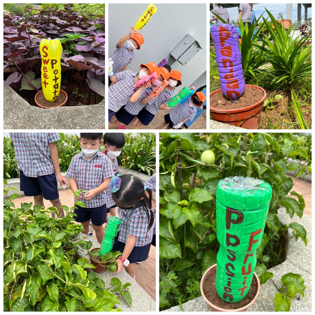 How Gardening helps our Kindergarten 1 children — photo 1