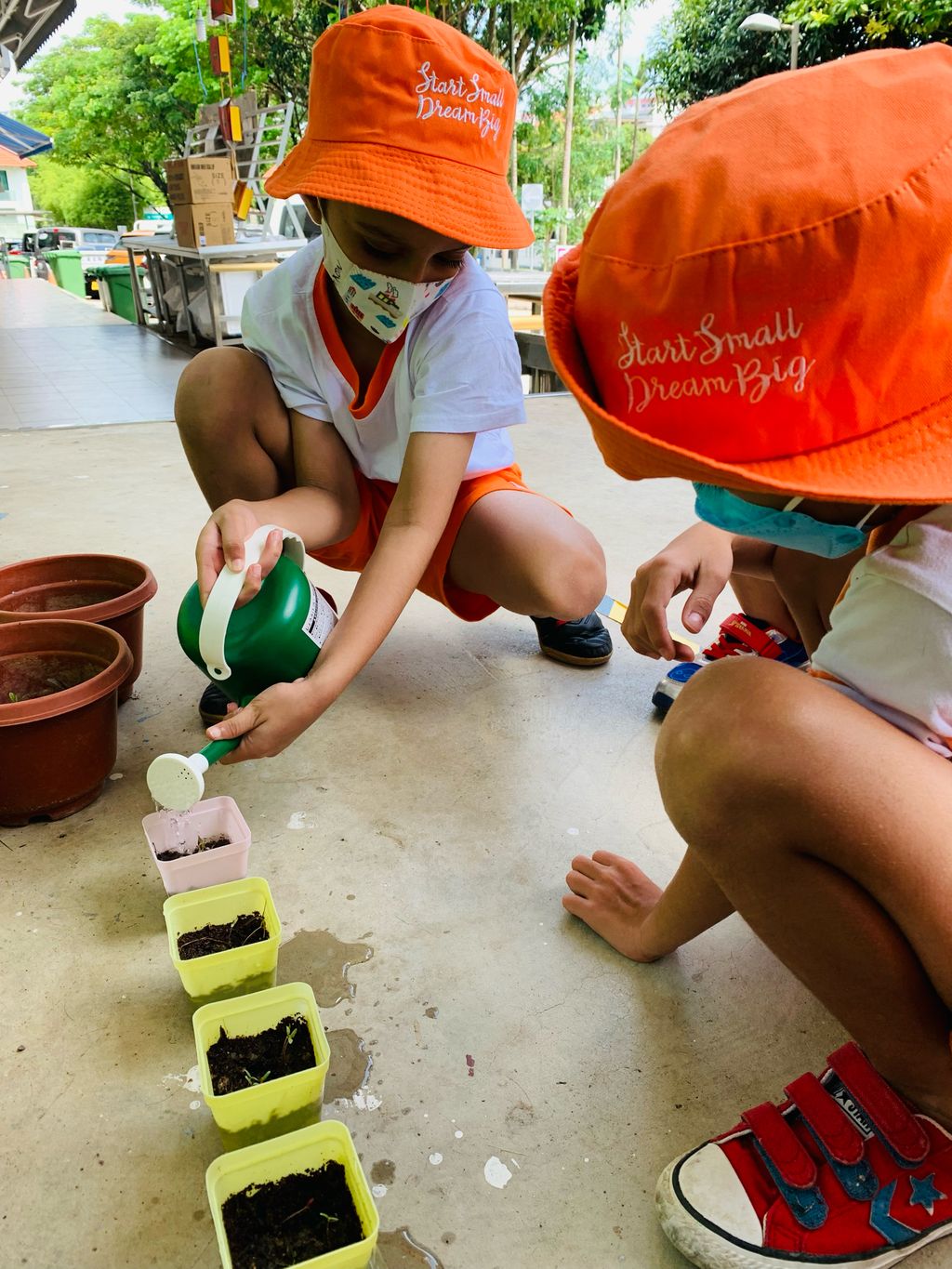 Every little GREEN counts! — photo 4