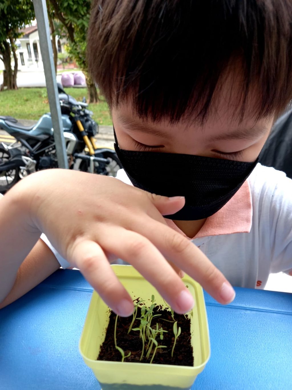 Every little GREEN counts! — photo 7