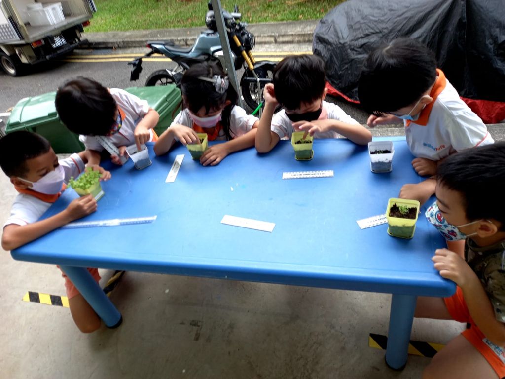 Every little GREEN counts! — photo 9