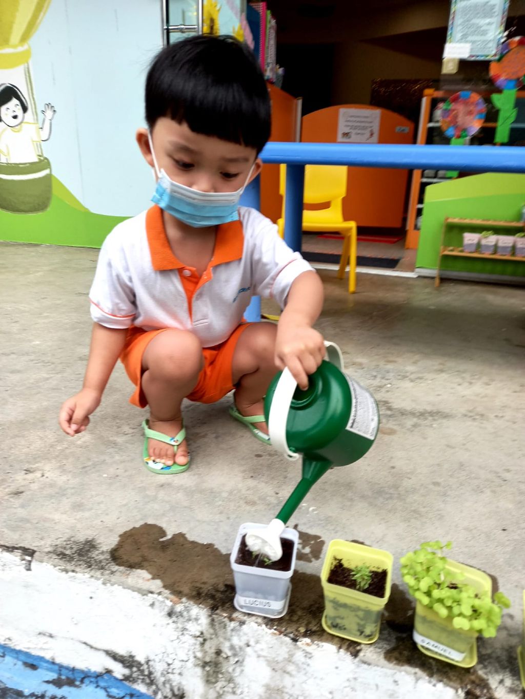 Every little GREEN counts! — photo 13