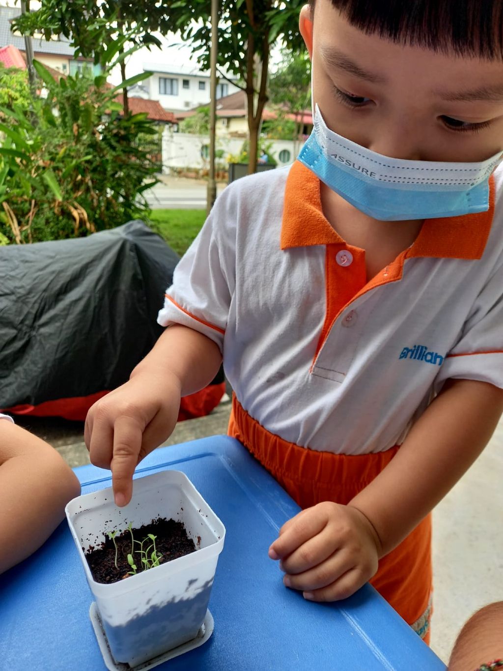 Every little GREEN counts! — photo 16