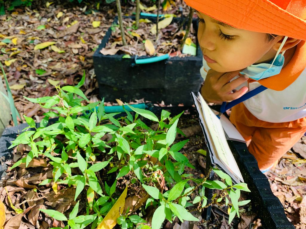 Every little GREEN counts ! — photo 2