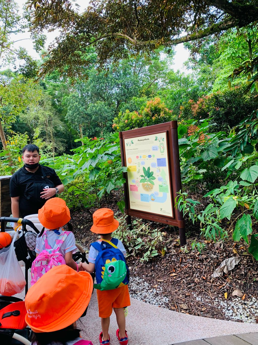 Every little GREEN counts ! — photo 9