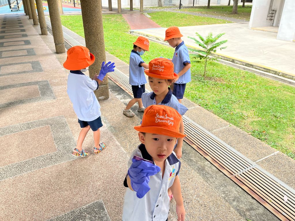 Neighbourhood Clean-Up! 🏡🚮 (SSDB Finale) — photo 2