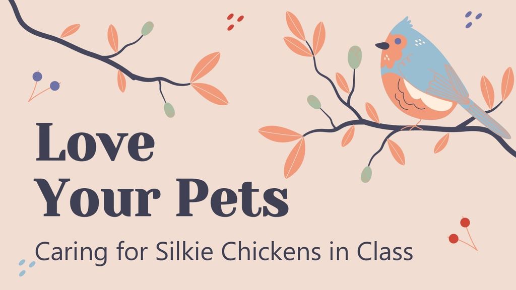 Love Your Pets (16/06/2022)