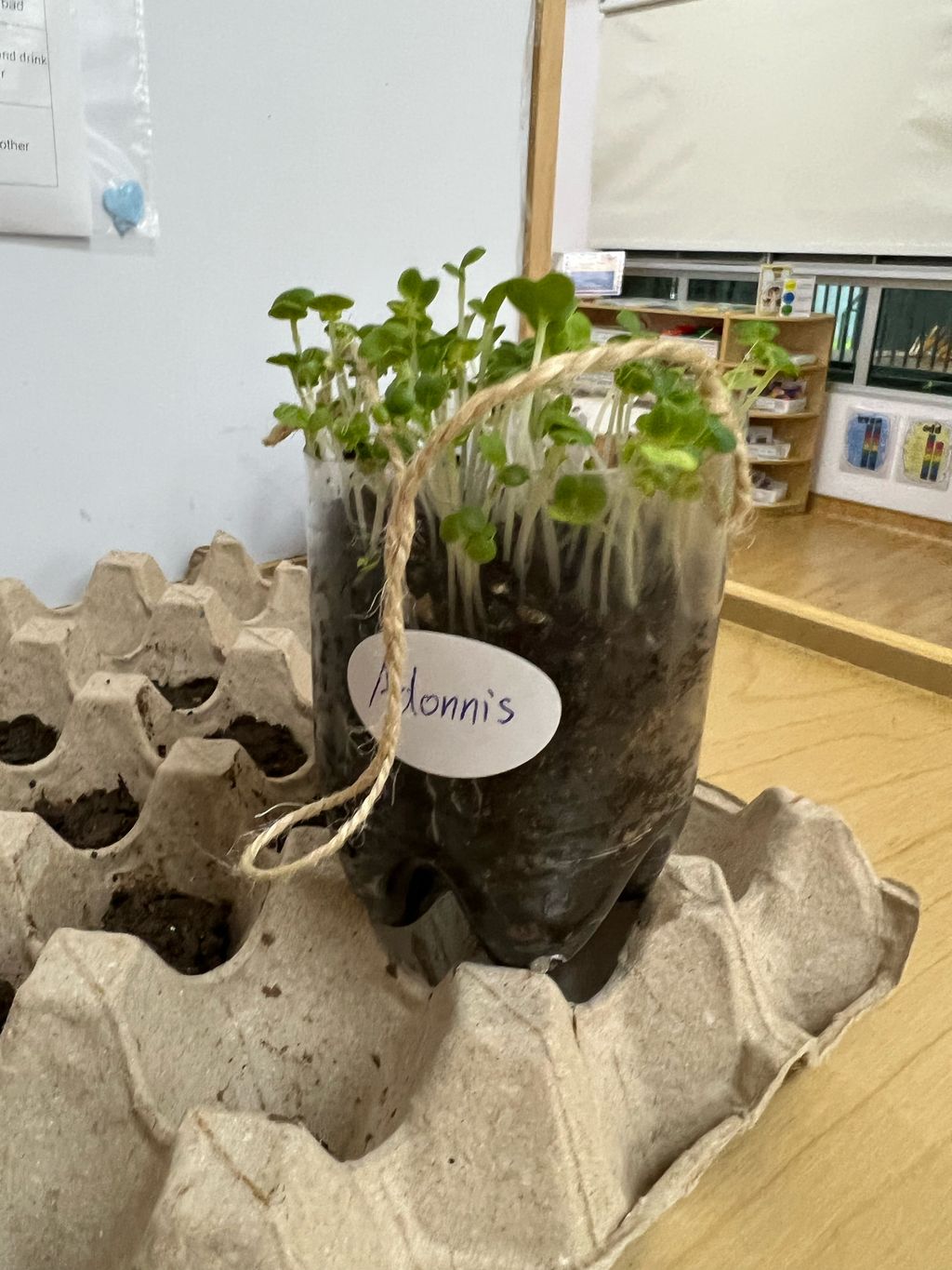We are little gardeners (Part 1)