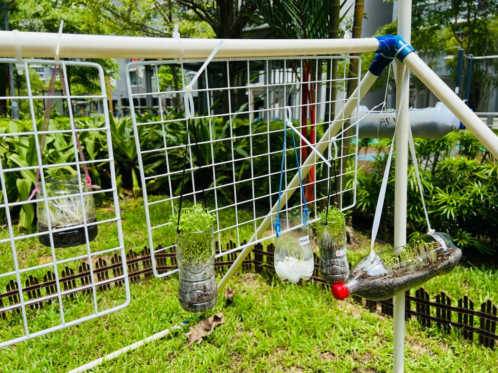 We are little gardeners (Part 2) — photo 1