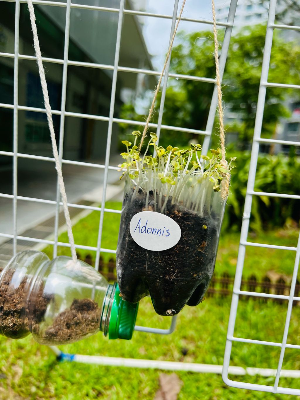 We are little gardeners (Part 2) — photo 2