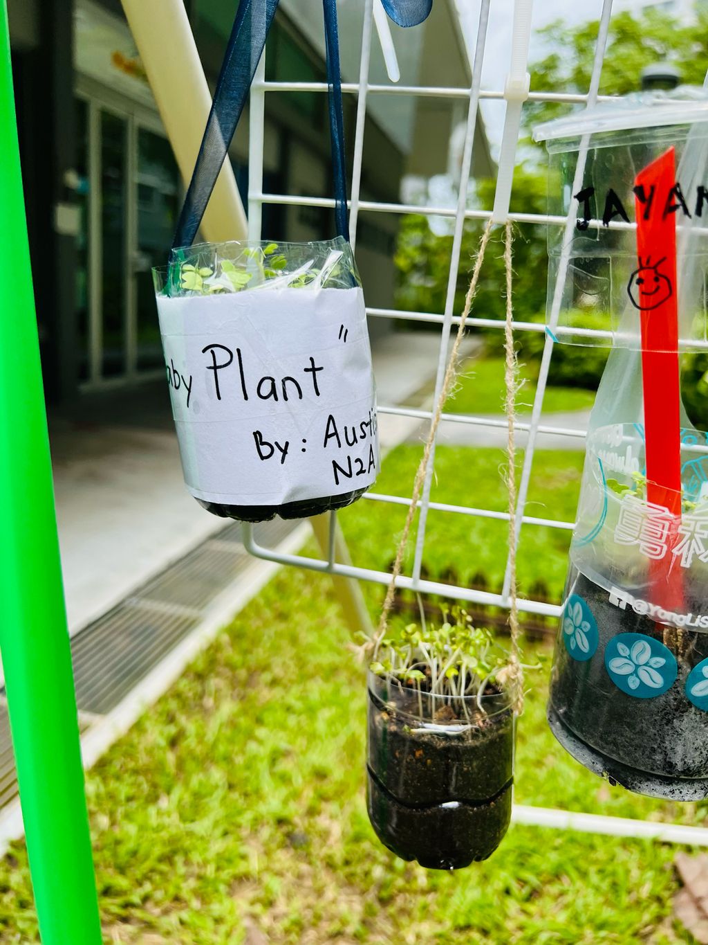 We are little gardeners (Part 2) — photo 3