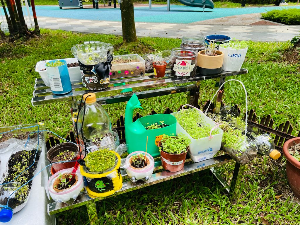 We are little gardeners (Part 2) — photo 6