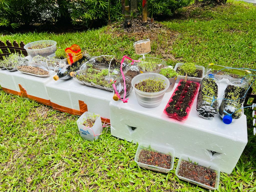 We are little gardeners (Part 2) — photo 7