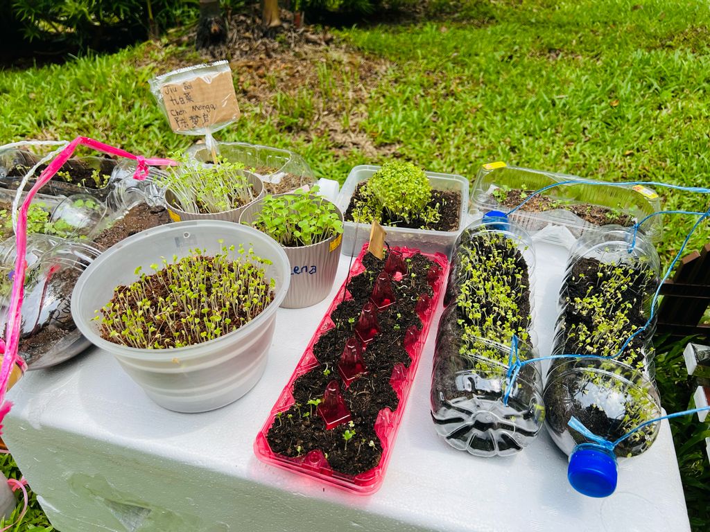 We are little gardeners (Part 2) — photo 8