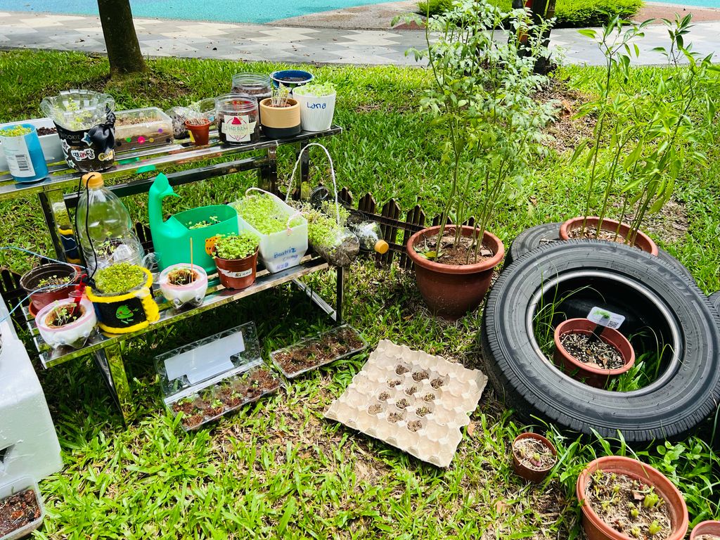 We are little gardeners (Part 2) — photo 10