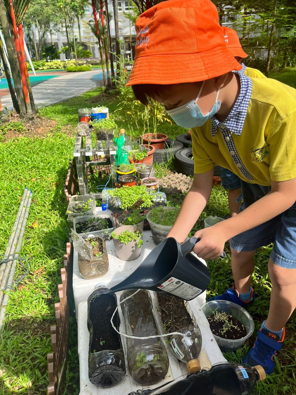 We are little gardeners (Part 3) — photo 3