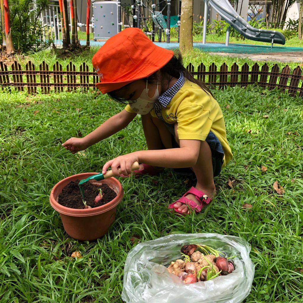 We are little gardeners (Part 3) — photo 4