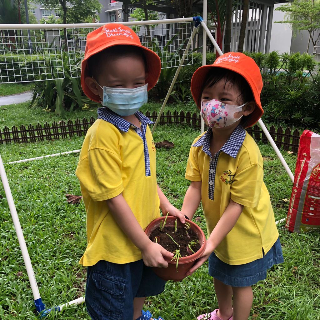 We are little gardeners (Part 3) — photo 5