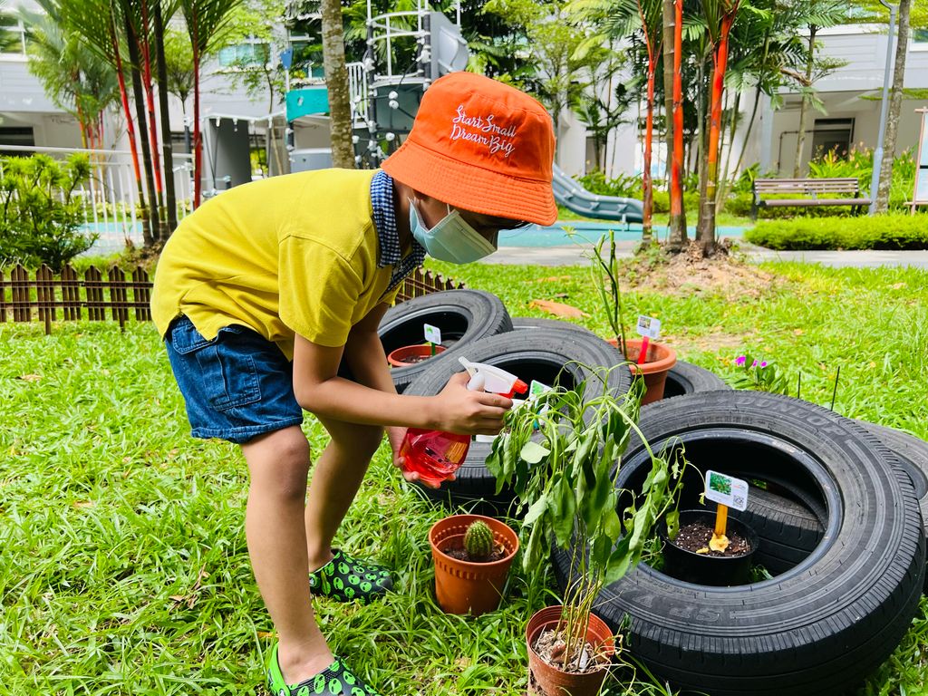 We are little gardeners (Part 3) — photo 1