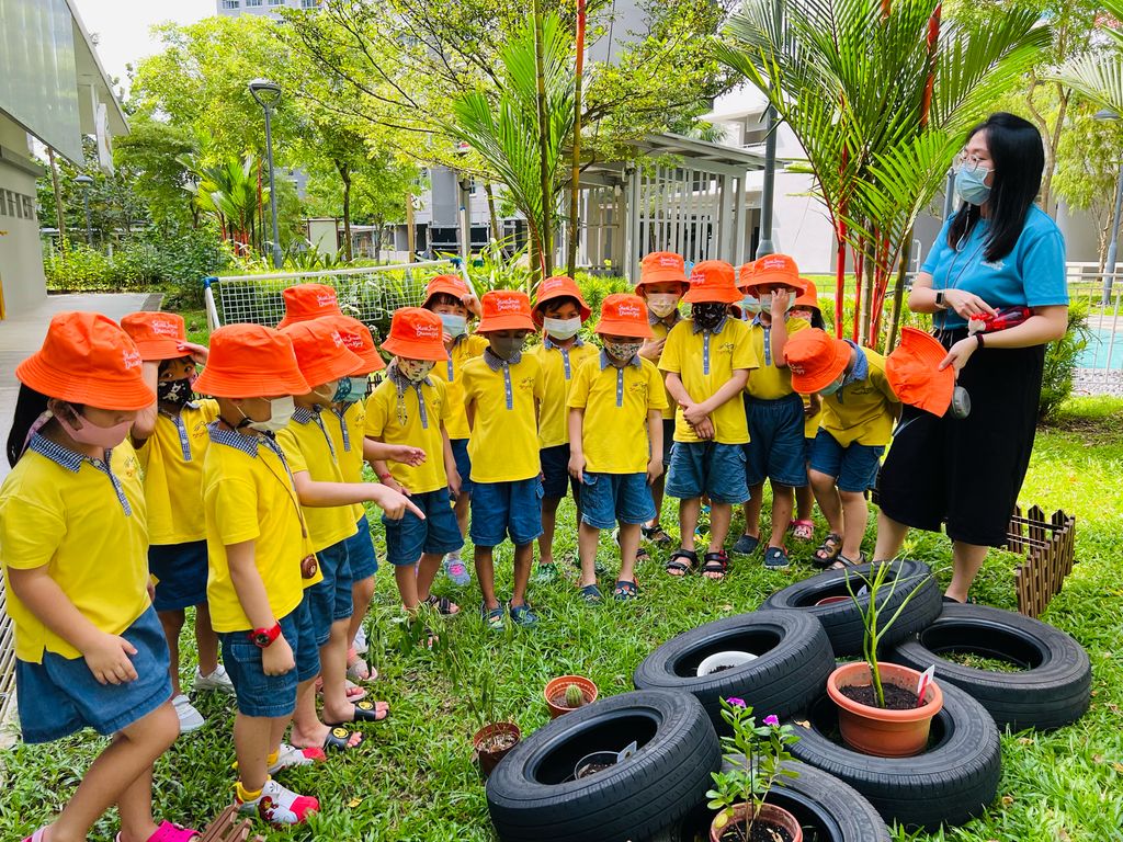 We are little gardeners (Part 3) — photo 3