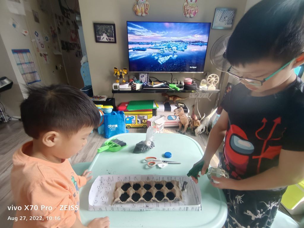 Be Kind Little One - Gardening using Sustainable Materials — photo 4