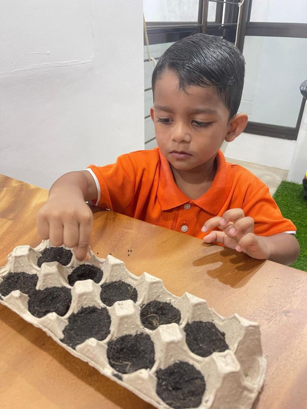 Be Kind Little One - Gardening using Sustainable Materials — photo 8