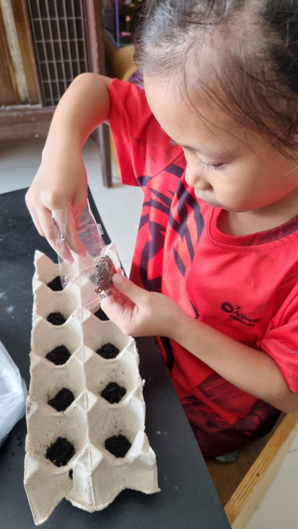 Be Kind Little One - Gardening using Sustainable Materials — photo 10