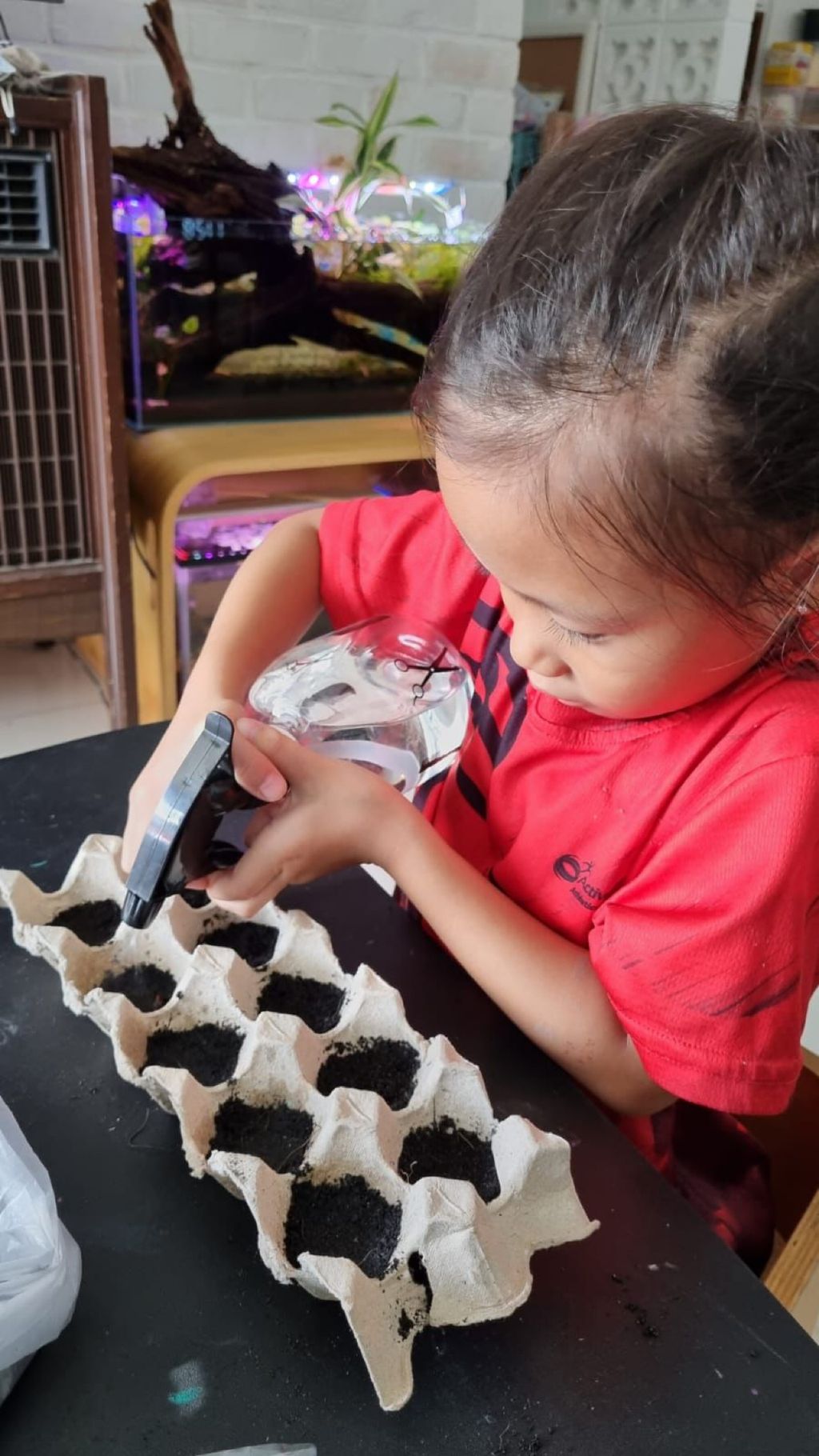 Be Kind Little One - Gardening using Sustainable Materials — photo 11