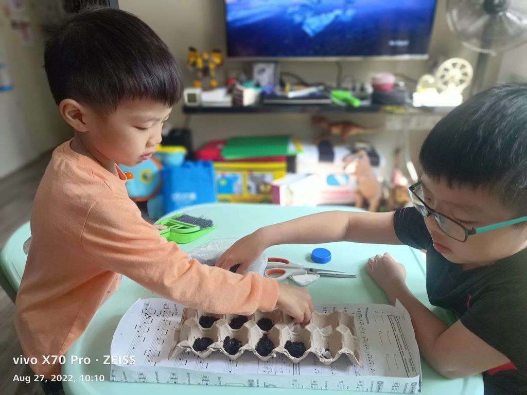 Be Kind Little One - Gardening using Sustainable Materials — photo 13