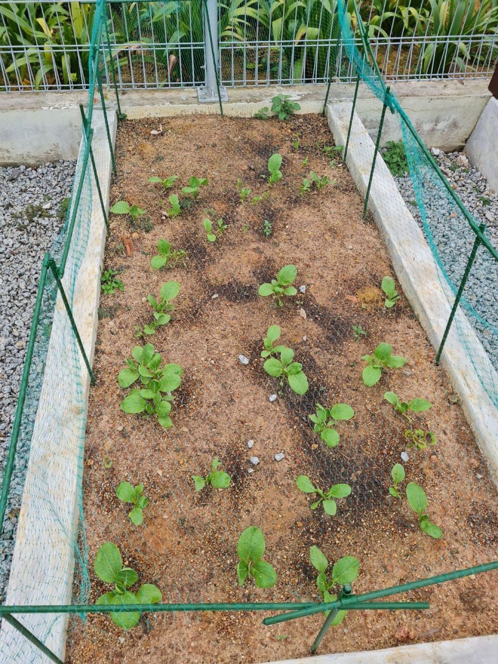 Be Kind Little One - Gardening using Sustainable Materials — photo 19