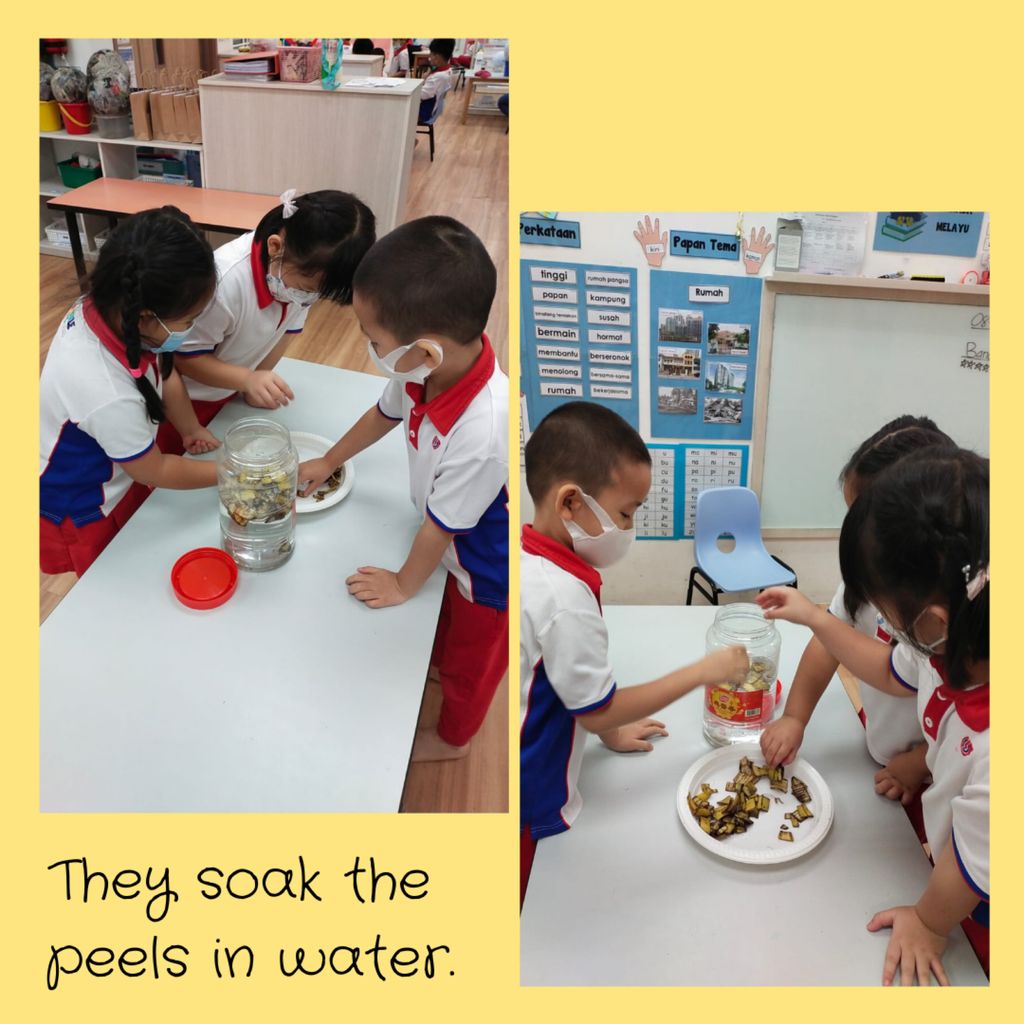 Food Waste to Gold — photo 2