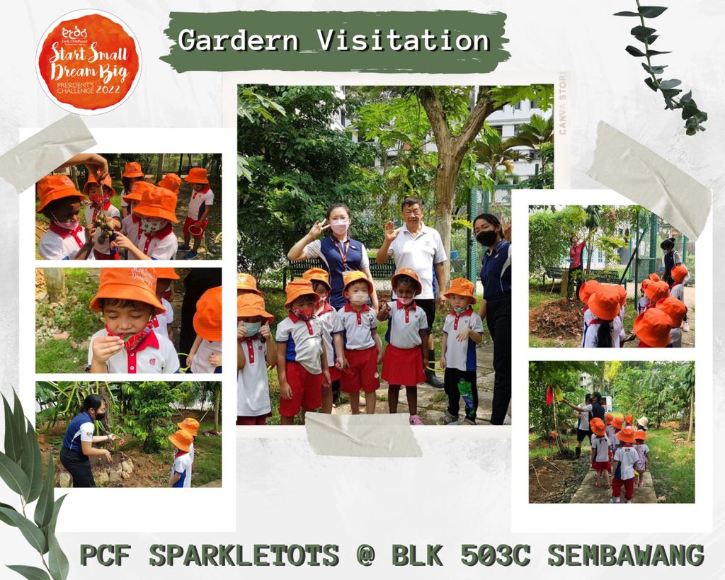 Displaying Care for the Environment Through Planting — photo 1