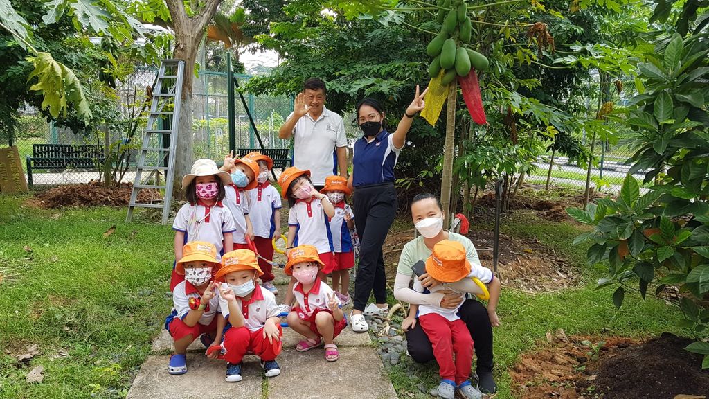 Displaying Care for the Environment Through Planting — photo 4